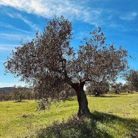 Agricampeggio La Piaggia- Pendolino