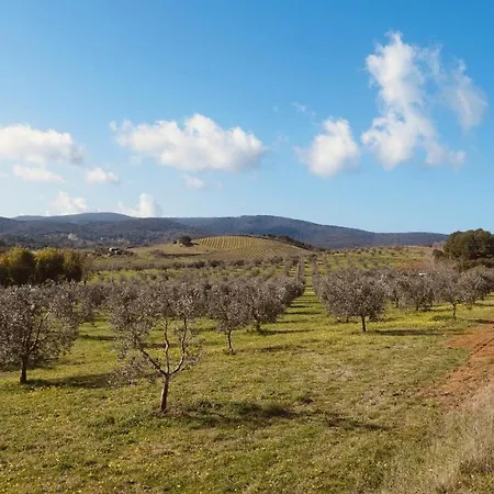 Farma Agricampeggio La Piaggia- Pendolino Piombino