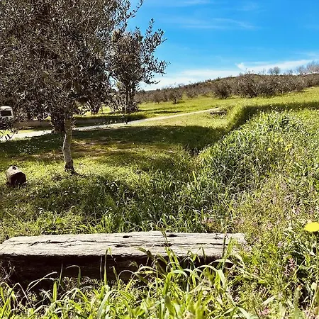 Agricampeggio La Piaggia- Pendolino *